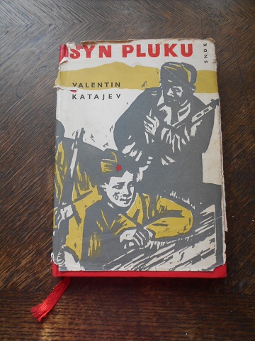 Syn pluku