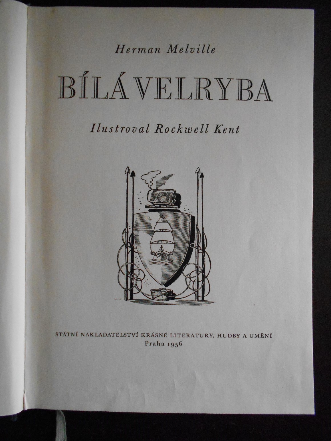 Bílá velryba