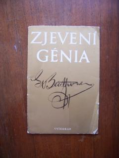 Zjevení génia