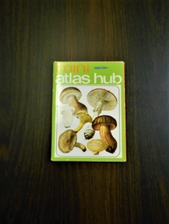 mini atlas hub
