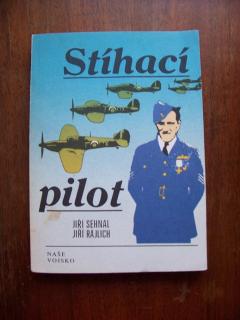 Stíhací pilot