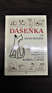 Dášeňka