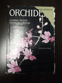 Orchideje